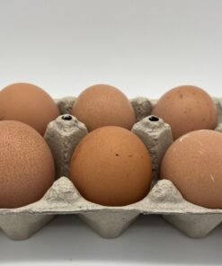 Brown Egger™ Hatching Eggs